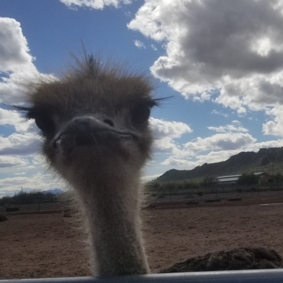 Meet your Posher, Michaela - Picture 1 of 1